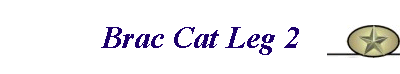 Brac Cat Leg 2