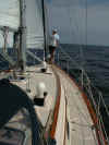 IslandSpirit2.jpg (57382 bytes)