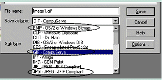 scan_saveas.gif (15904 bytes)